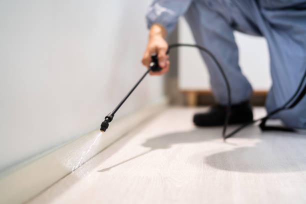 Licensed Rodent Control service in Summitville, IN - Nex Pest Control