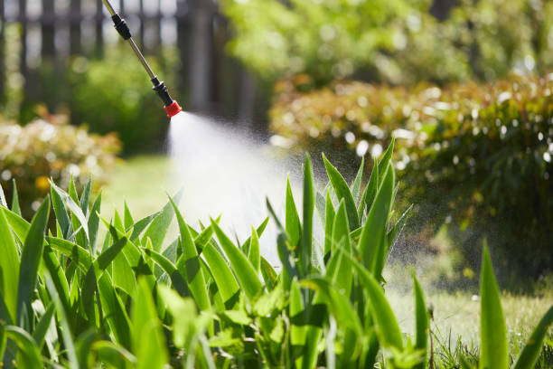 24/7 Emergency Rodent Control experts in Summitville, IN